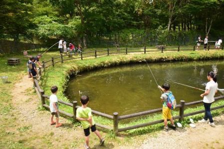 いわなの郷の求人情報