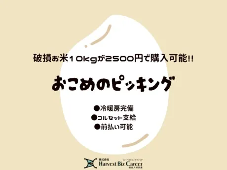 株式会社Harvest Biz Careerのアルバイト・バイト求人情報