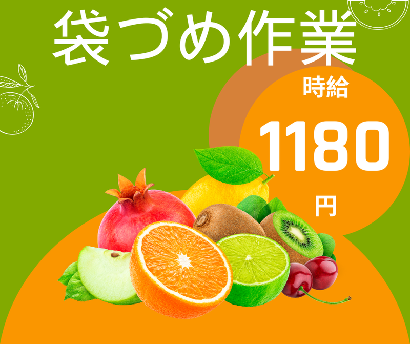 株式会社スカイキャリア(派遣先:福岡県糸島市)FUK025
