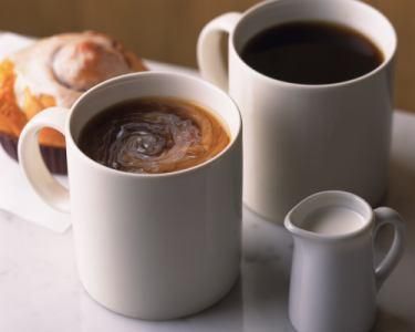 三本珈琲株式会社の求人・転職情報