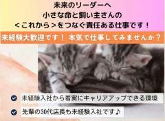 有限会社　アークスの求人・転職情報