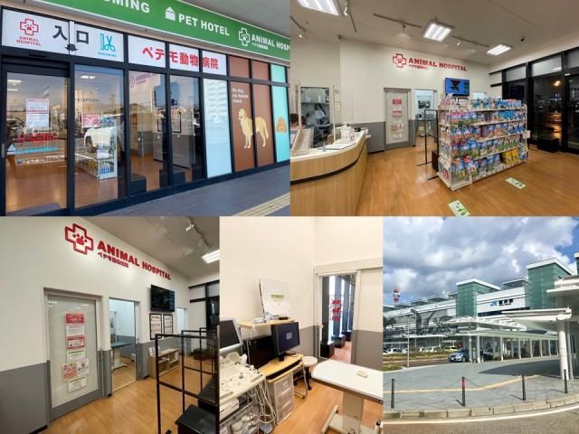 ペテモ動物病院　福井のアルバイト・バイト求人情報-34