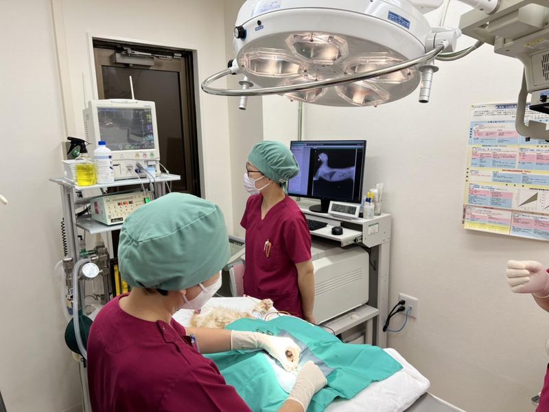 株式会社PET LIFEの求人・転職情報