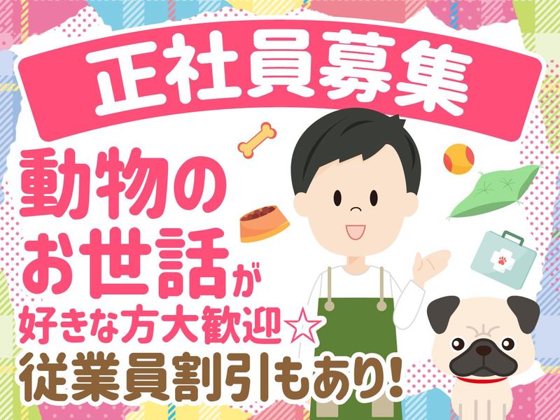 Next Booの求人・転職情報