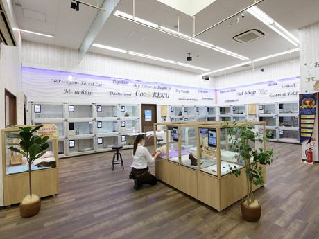 Coo&RIKU(クーアンドリク)　福岡古賀店のアルバイト・バイト求人情報-05