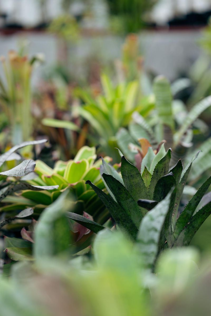 株式会社松竹園のアルバイト・バイト求人情報-05