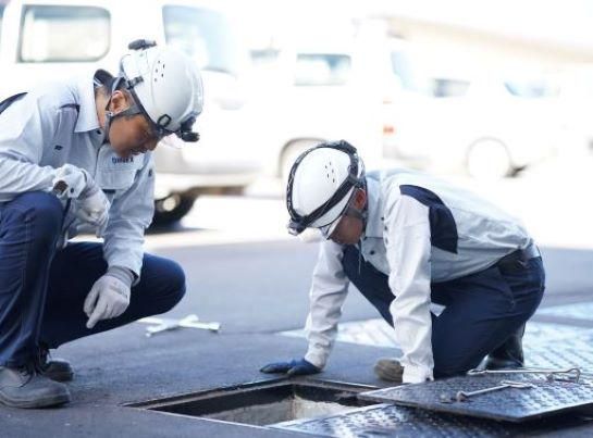 ダイネックス株式会社の求人・転職情報