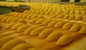 澁谷食品株式会社の求人・転職情報