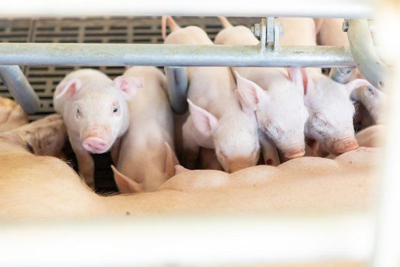 タローファーム株式会社のアルバイト・バイト求人情報-05