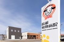 株式会社廣瀨動物病院の求人・転職情報