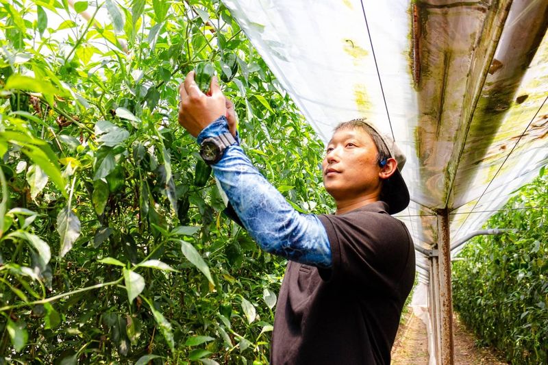 農場(面接予定地)の派遣求人情報