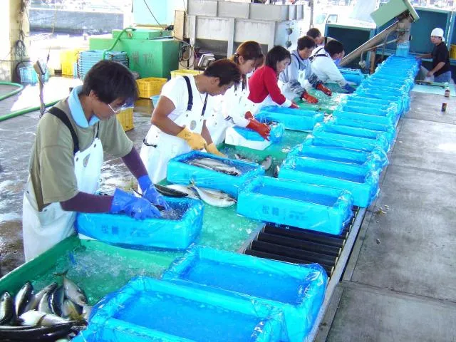 みうら漁業協同組合の求人・転職情報