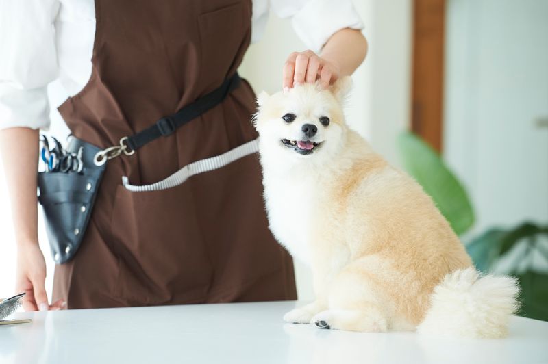 合同会社Ｉ　Ｗａｎの求人・転職情報