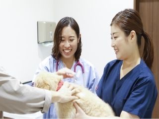 コジマ橋本動物病院のアルバイト・バイト求人情報-02