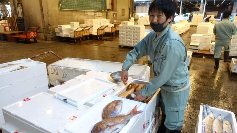 株式会社　魚半の求人情報