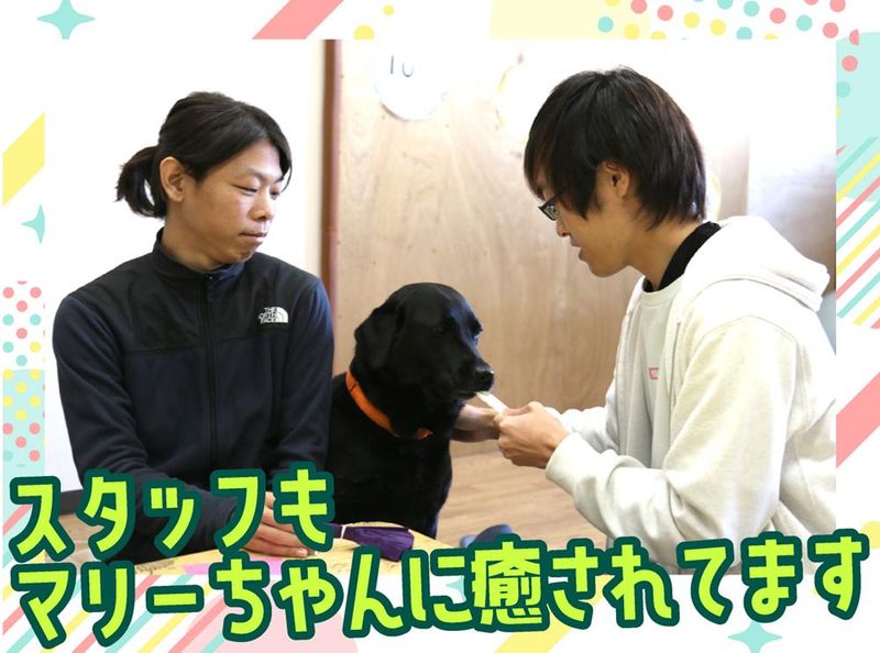 放課後等デイサービス　グロース水川Ⅱのアルバイト・バイト求人情報-03