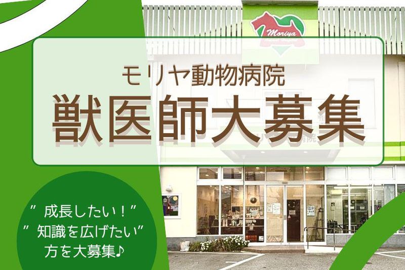 モリヤ動物病院の求人・転職情報