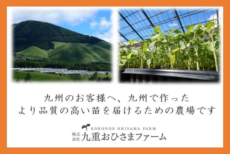 【大分・文理不問】野菜苗生産の仕事を知ろう!動画説明会