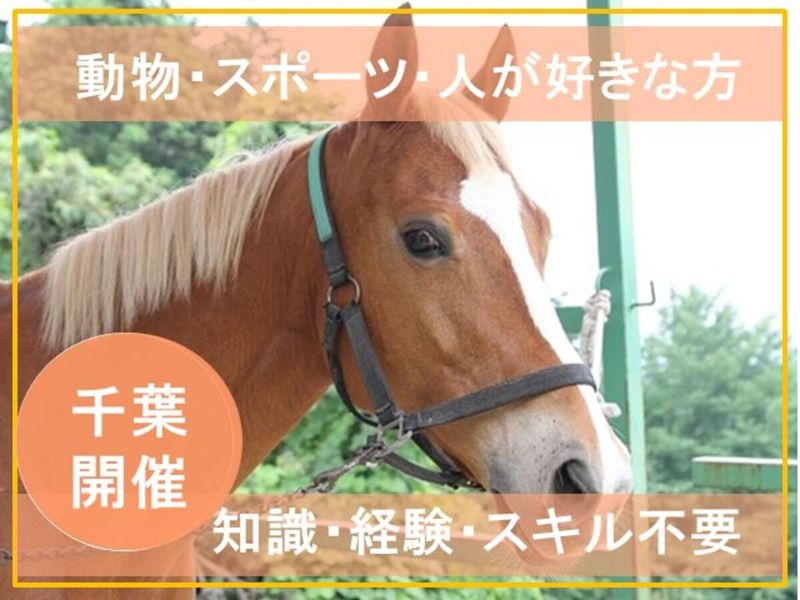 【千葉】「馬」と「人」を繋ぐ感動体験!乗馬もできる仕事体験