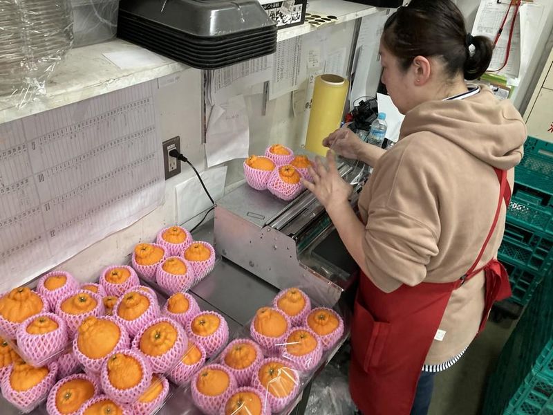 株式会社魚代の求人・転職情報