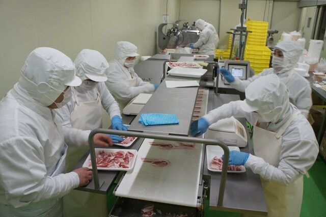 株式会社リトルフーズの求人・転職情報