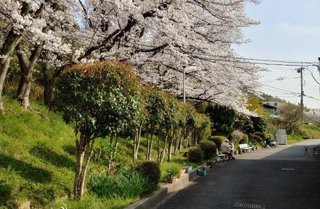 大阪府社会福祉事業団　【北河内エリア】OSJ工房よりそいの丘(採用時配属先)のアルバイト・バイト求人情報-03