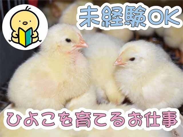 農事組合法人赤堀町養鶏組合の求人・転職情報