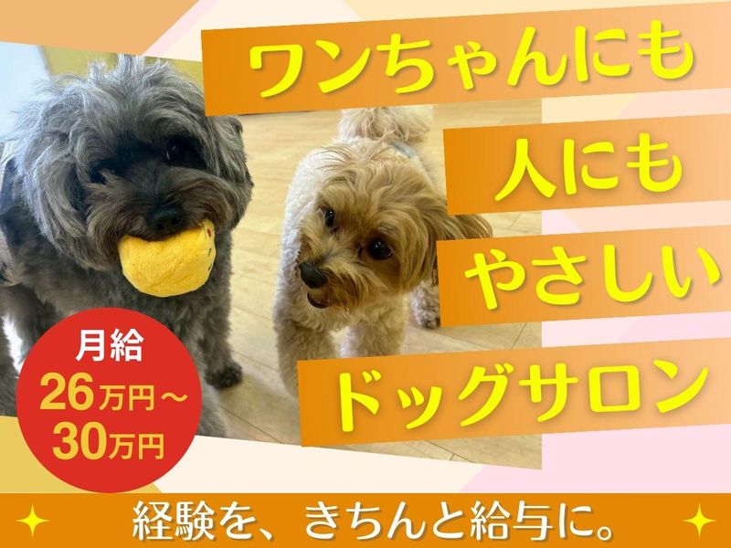 株式会社Ｃｏｐａｎの求人・転職情報