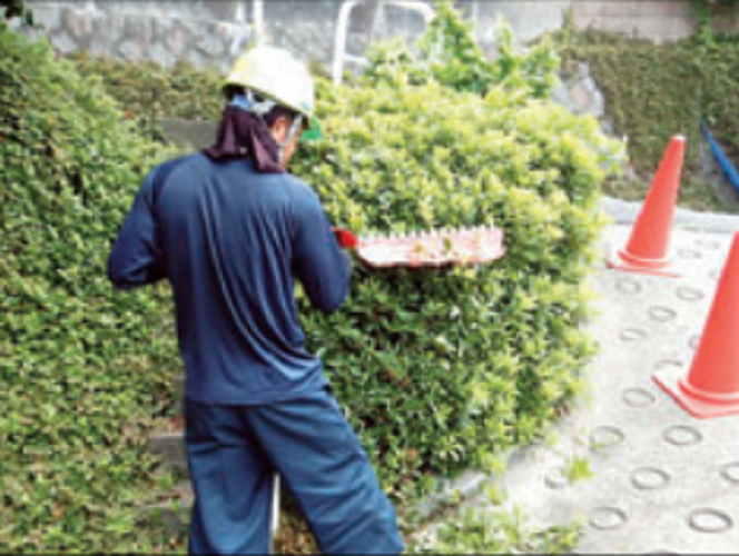 足立造園緑地株式会社のアルバイト・バイト求人情報-01