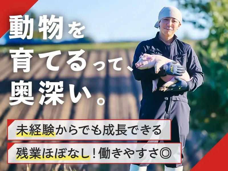下仁田ミート株式会社の求人・転職情報