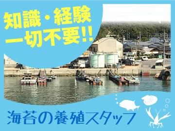 有限会社山城水産のアルバイト・バイト求人情報-02