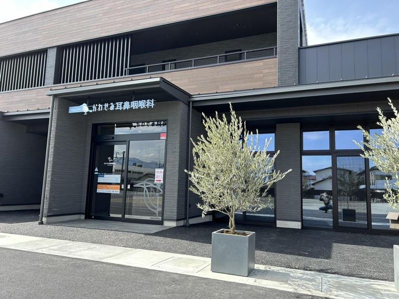 かわせみ耳鼻咽喉科の求人・転職情報