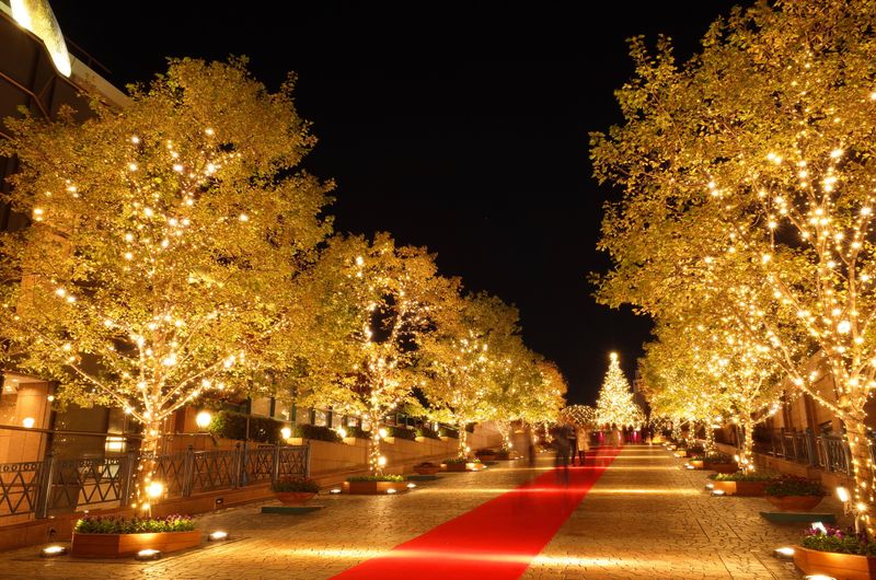 六本木エリアのイルミネーション会場(シンテイ警備株式会社　新宿支社)のアルバイト・バイト求人情報-05