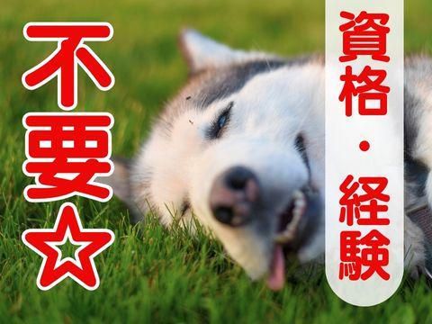 株式会社ホットスタッフ廿日市(157)のアルバイト・バイト求人情報-05