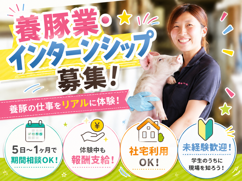 養豚業の仕事がわかる長期インターンシップ