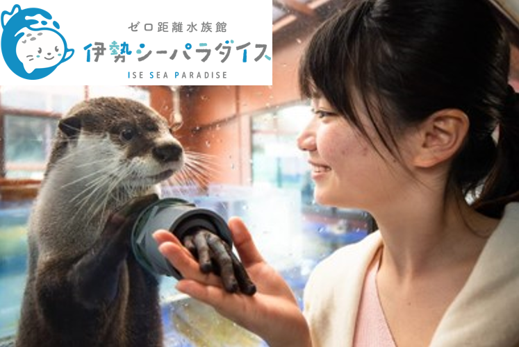 株式会社さくらのアルバイト・バイト求人情報-04