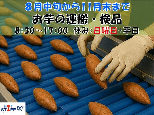 株式会社ホットスタッフ宮崎