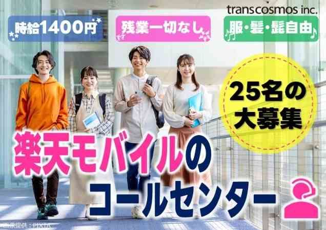 トランスコスモス株式会社-0031の求人・転職情報