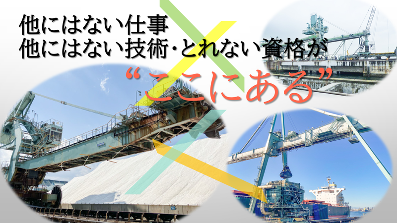 国際埠頭株式会社の求人・転職情報