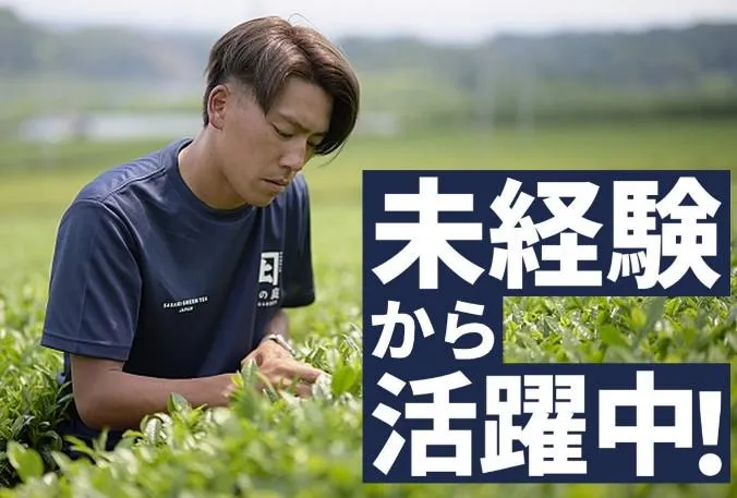  佐々木製茶株式会社の求人・転職情報