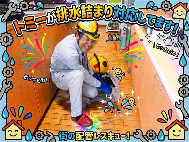 株式会社センエーの求人・転職情報