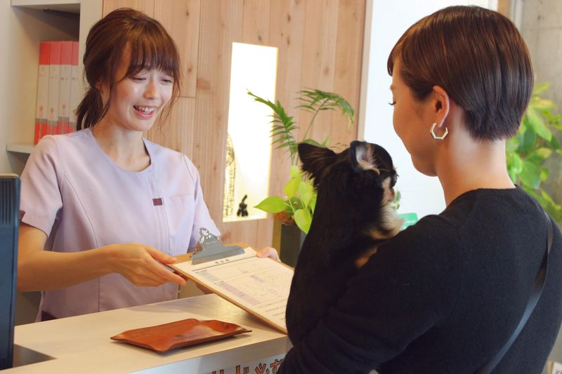 株式会社バンブーワークスの求人・転職情報