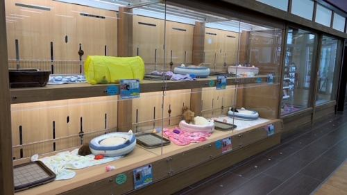 パレハ防府店のアルバイト・バイト求人情報-05