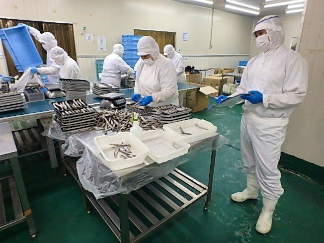 岡田水産北海道株式会社のアルバイト・バイト求人情報-02
