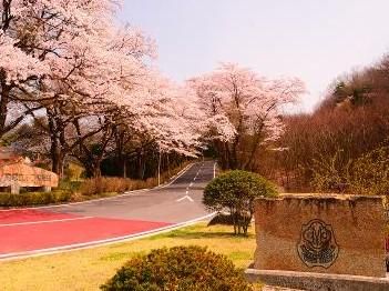 株式会社MGCマネイジメントの求人・転職情報