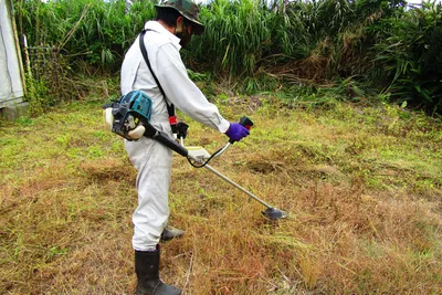 茨城県 つくば市の草刈り作業の求人 | Indeed (インディード)