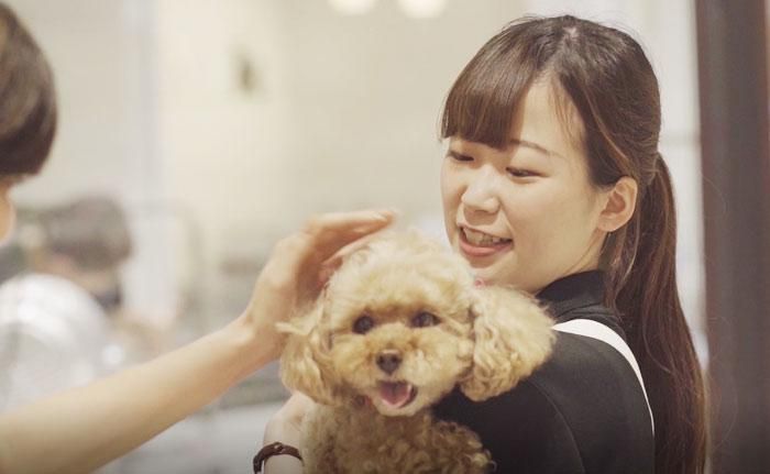 DOG&CAT　JOKER　ららぽーと柏の葉店のアルバイト・バイト求人情報-02