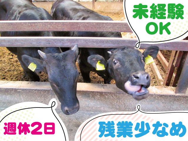 株式会社鶴田ファーミングの求人・転職情報