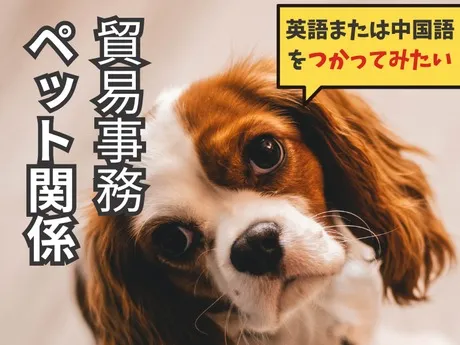株式会社トムキャットの求人・転職情報