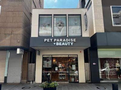 PET PARADISE + BEAUTY　横浜元町店のアルバイト・バイト求人情報-02